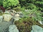 Japanese Rock Garden Designs