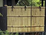 Japanese Fence bamboo