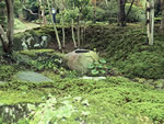 Japanese Garden Tsukubai Water Basin