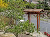 Tree-pruning-bonsai-botanical-Japanese Garden Tree Pruning