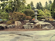 Making of a Japanese Garden - Before & After
