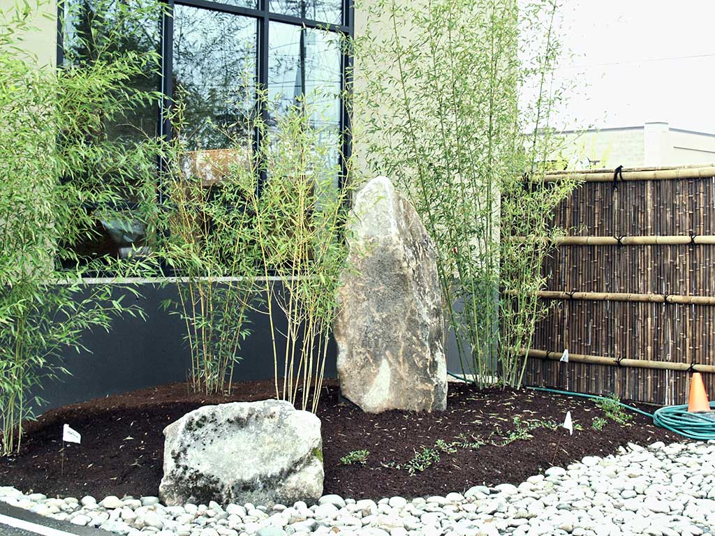 Rock garden at the enterance of Urbanata Sustainable Solutions Store in Seattle WA .
