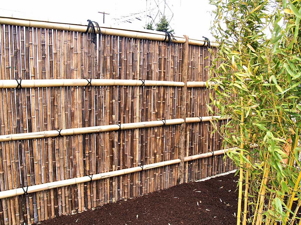 Bamboo fence that surrounds the garden.