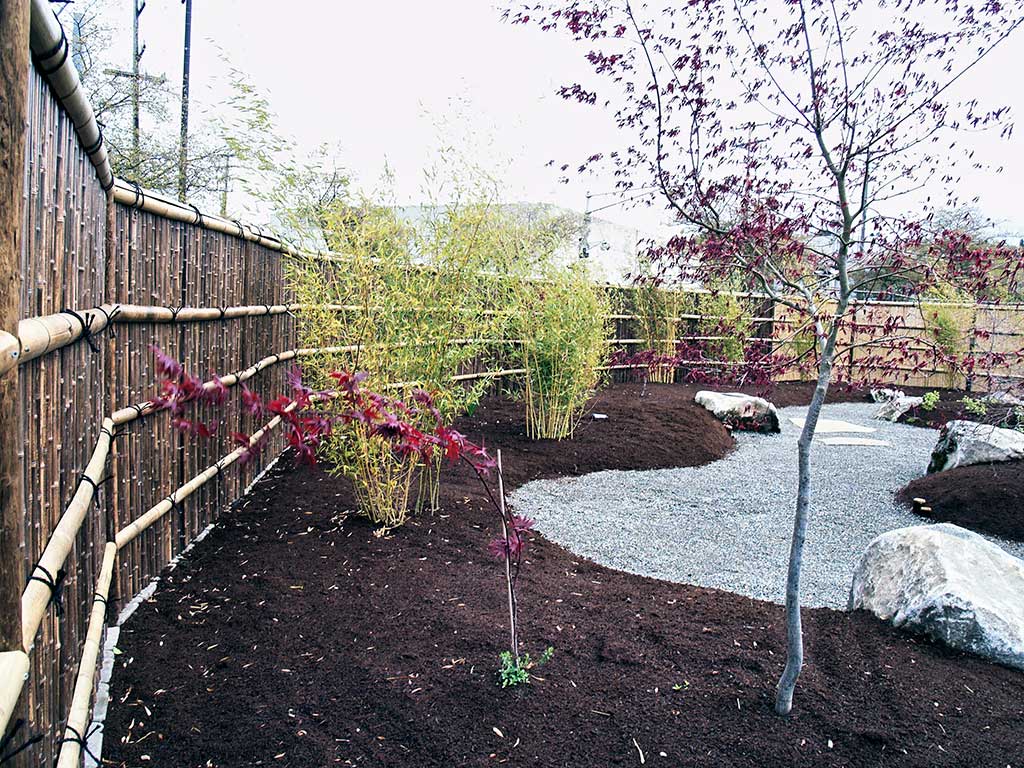 Side area of the garden with bamboo fence.