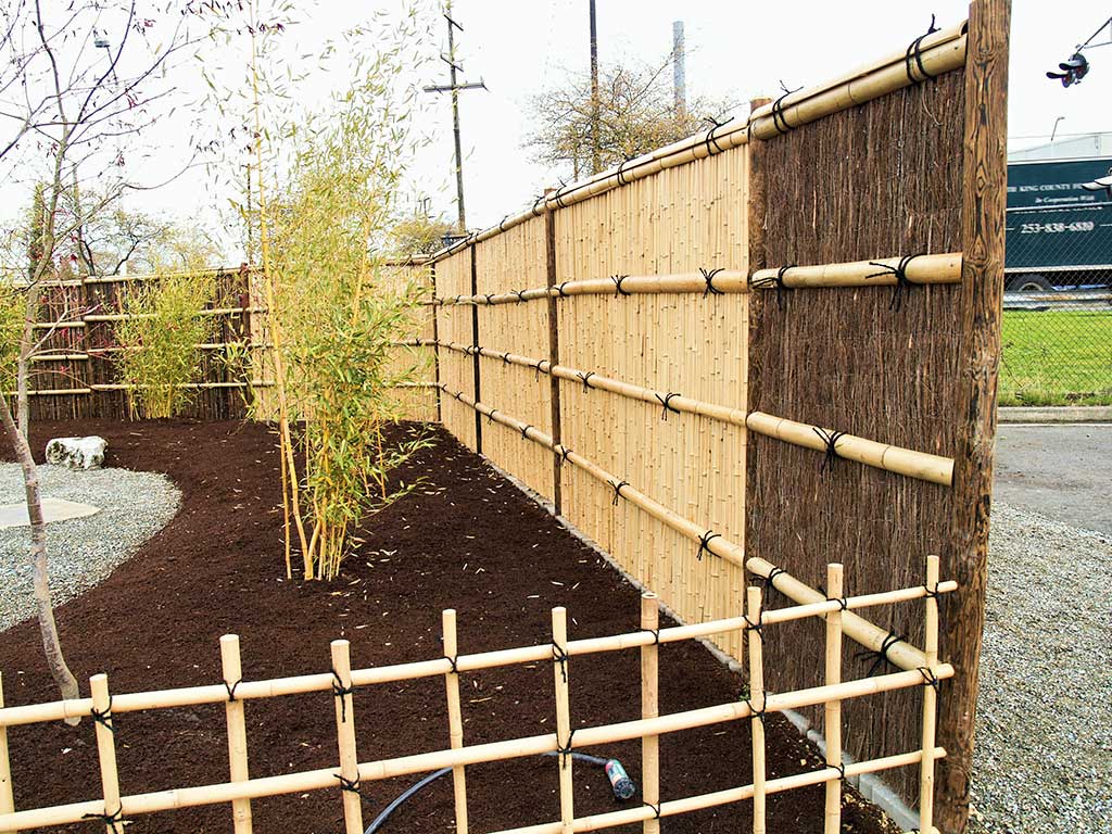 Bamboo fencing at the Northern side of the garden.